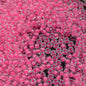 Miyuki Seed Beads 11/0 - mb11-4301 - Luminous Inside-Color Hot Neon Pink/Crystal
