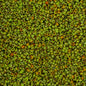 Miyuki Seed Beads 11/0 - mb11-4515 - Chartreuse Picasso 10g