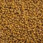 Miyuki Seed Beads 11/0 - mb11-4693 - Frosted Glazed/Rainbow Yellow Mustard Matte