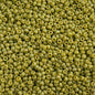 Miyuki Seed Beads 11/0 - mb11-4697 - Frosted Glazed/Rainbow Green Lime Matte AB