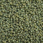 Miyuki Seed Beads 11/0 - mb11-4698 - Frosted Glazed/Rainbow Green Shamrock Matte