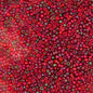 Miyuki Seed Beads 15/0 mb15-0315 - Burgundy Gold Luster