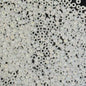 Miyuki Seed Beads 15/0 mb15-0471 - White Pearl AB