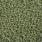 Miyuki Seed Beads 15/0 mb15-4698 - Frosted Glazed/Rainbow Green Shamrock Matte A
