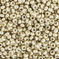 Miyuki Seed Beads 6/0 mb6-4201 - Duracoat Galvanized Silver