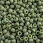 Miyuki Seed Beads 6/0 mb6-4698 - Frosted Glazed/Rainbow Green Shamrock Matte AB